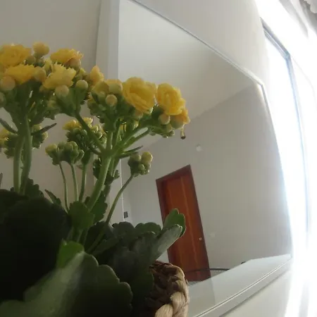 Aparthotel Vasilina *