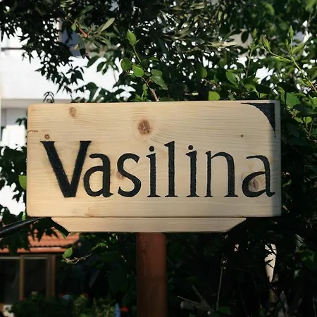 Vasilina *