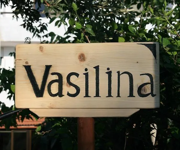 Vasilina 3*