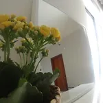 Aparthotel Vasilina 3*